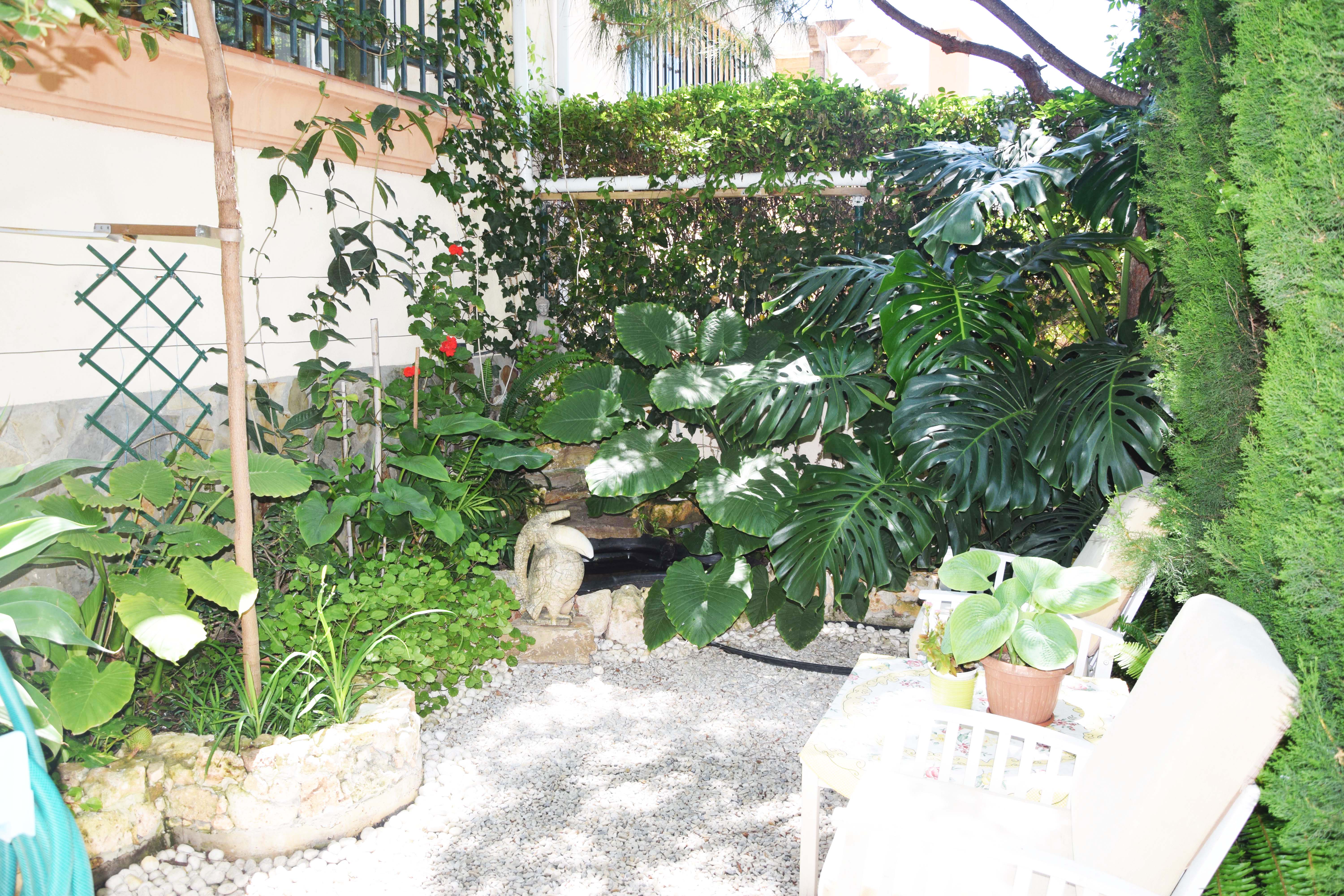 Imagen 28