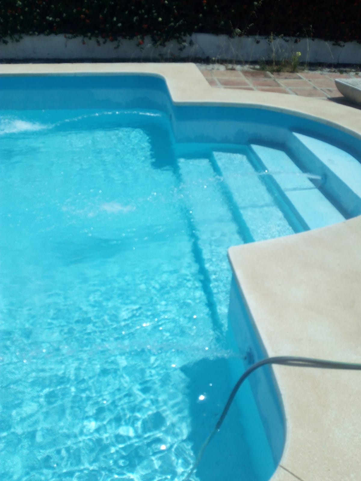 Imagen 6